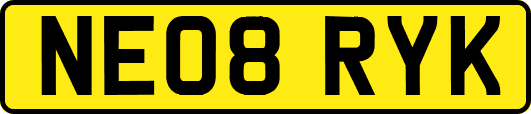 NE08RYK
