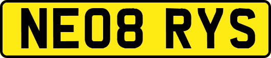 NE08RYS