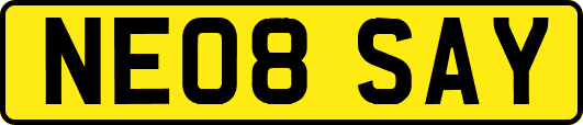 NE08SAY