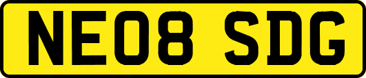 NE08SDG