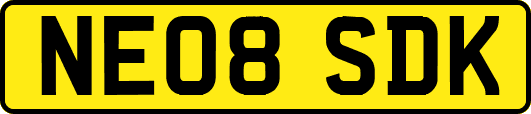 NE08SDK