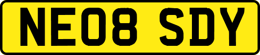 NE08SDY