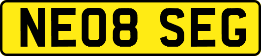 NE08SEG