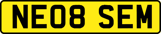 NE08SEM