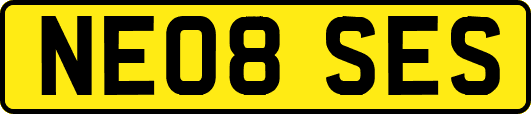NE08SES