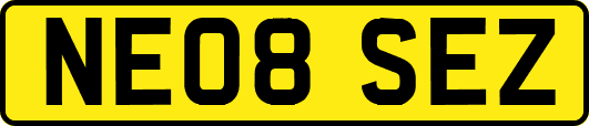 NE08SEZ