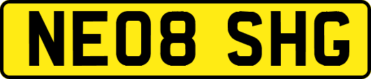 NE08SHG