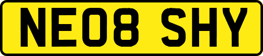 NE08SHY