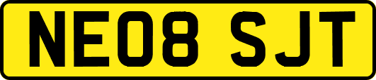 NE08SJT