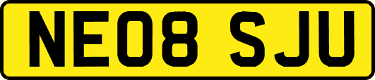 NE08SJU