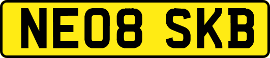NE08SKB