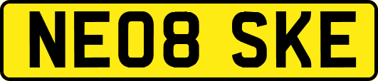 NE08SKE