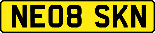 NE08SKN