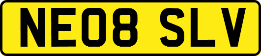 NE08SLV