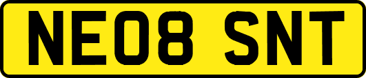 NE08SNT