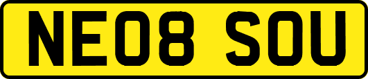 NE08SOU
