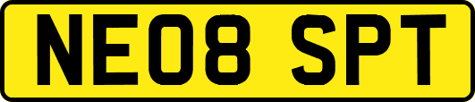 NE08SPT