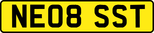 NE08SST