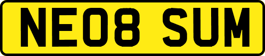 NE08SUM