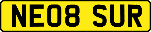 NE08SUR