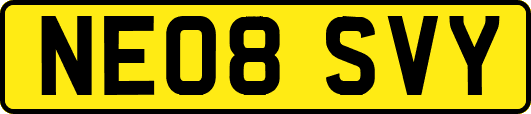 NE08SVY