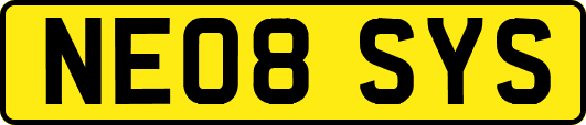 NE08SYS