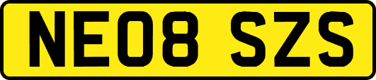 NE08SZS