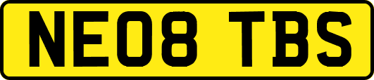 NE08TBS