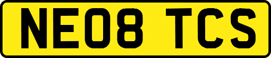 NE08TCS