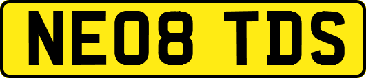 NE08TDS