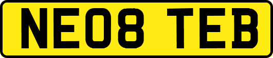 NE08TEB