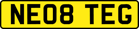 NE08TEG