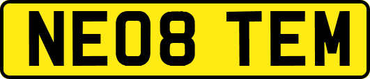 NE08TEM