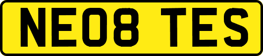 NE08TES