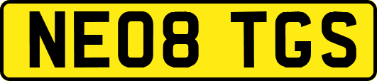 NE08TGS