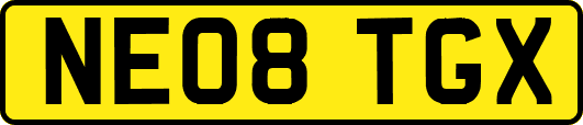 NE08TGX