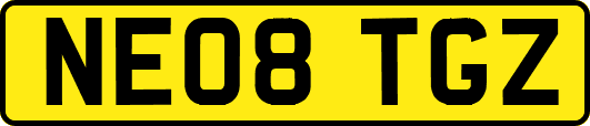 NE08TGZ