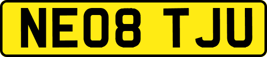 NE08TJU