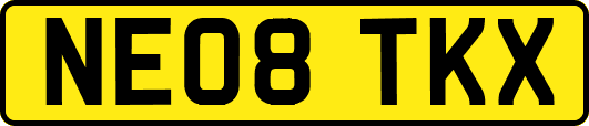 NE08TKX