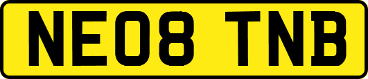 NE08TNB