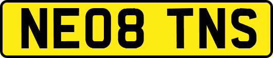 NE08TNS