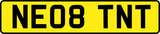 NE08TNT