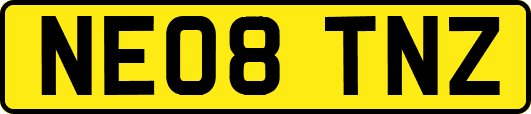 NE08TNZ