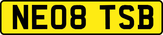 NE08TSB