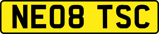 NE08TSC