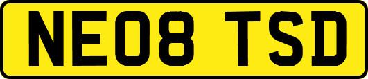 NE08TSD