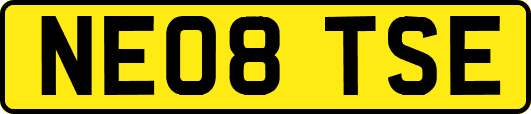 NE08TSE