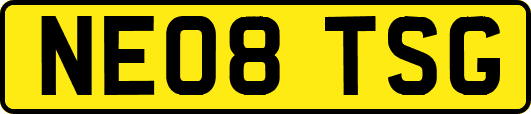 NE08TSG