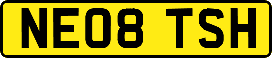 NE08TSH