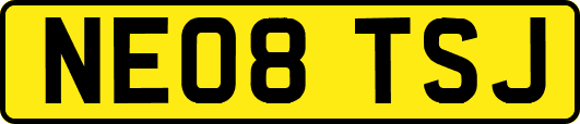 NE08TSJ